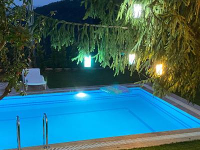 Sapanca 4+1 Villa