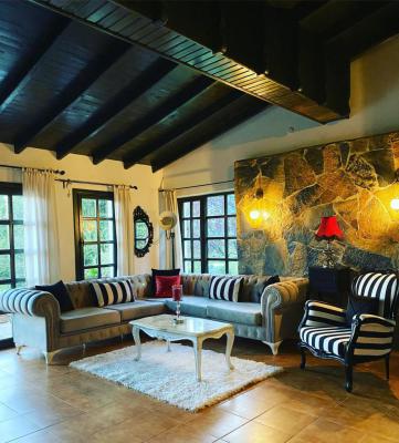 Sapanca 4+1 Villa