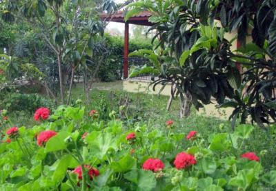 Hotel Alize