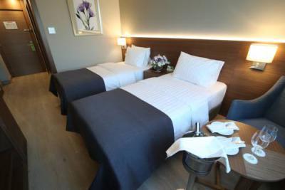 Holiday Inn Bursa City Centre