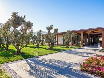 Voyage Torba